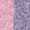 Duo Red-Blue